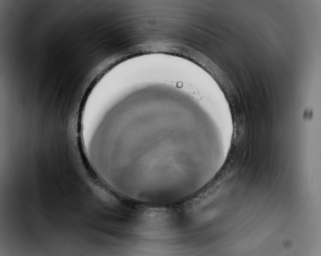 X0000103900438200810311413