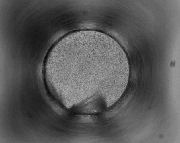 X0000103900439200810311413