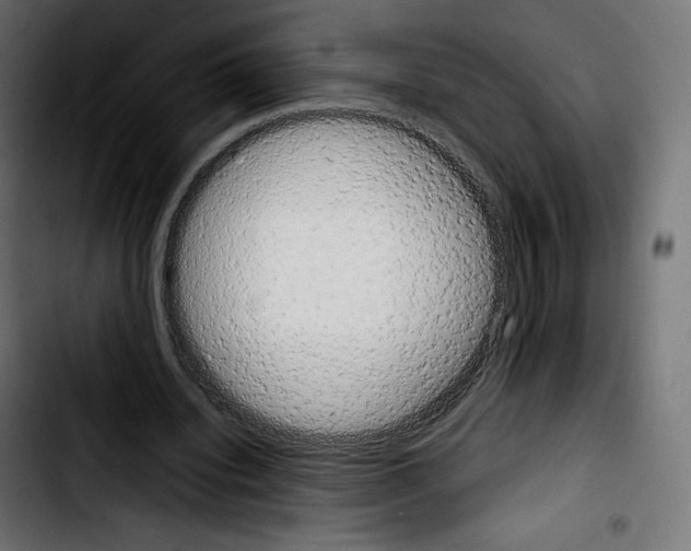 X0000103900440200810311413