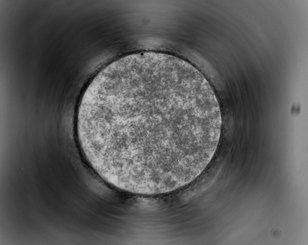 X0000103900442200810311413