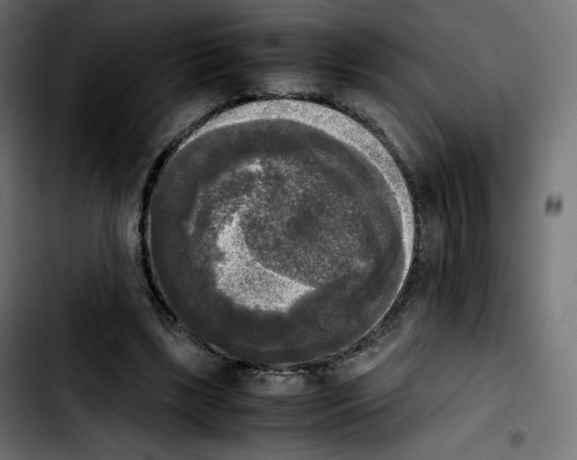 X0000103900443200810311413