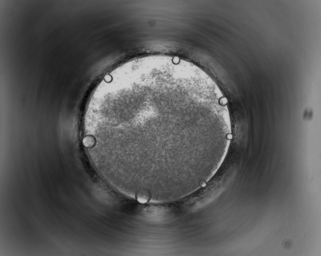 X0000103900444200810311413