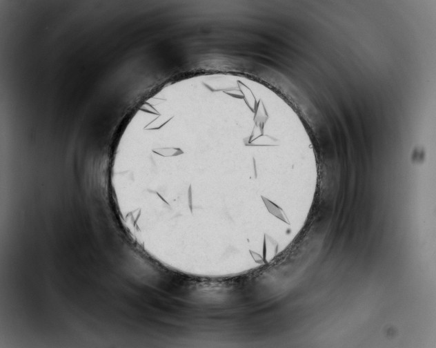 X0000103900445200810311413