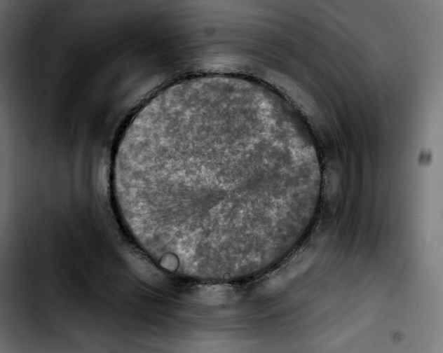 X0000103900446200810311413