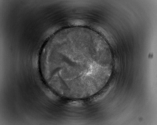 X0000103900447200810311413