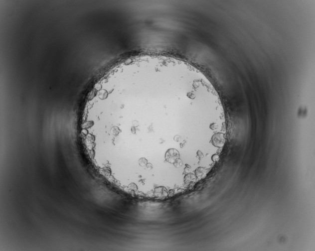 X0000103900448200810311413