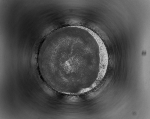 X0000103900449200810311413