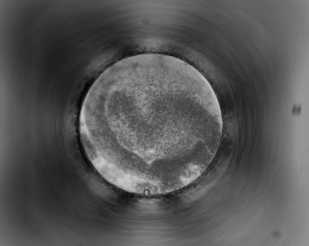 X0000103900450200810311413