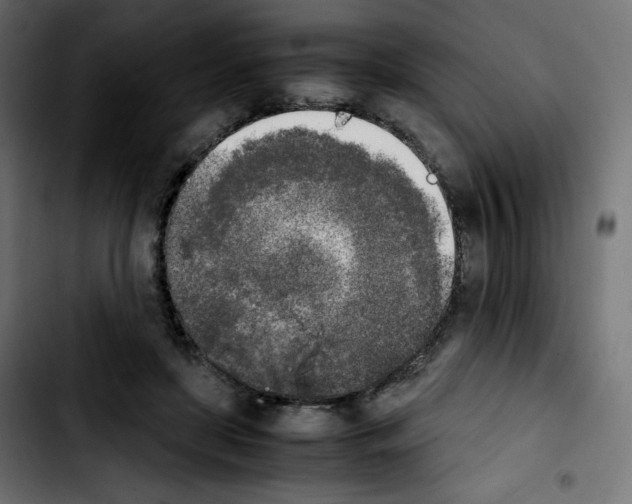 X0000103900451200810311413