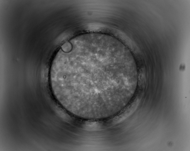 X0000103900454200810311413