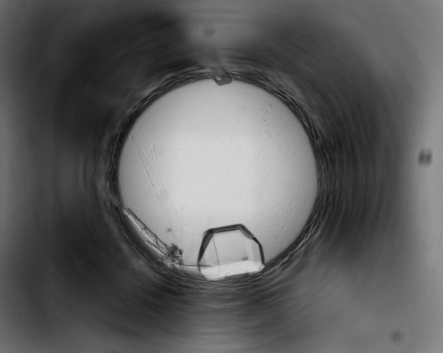 X0000103900456200810311413