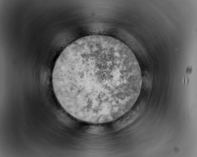 X0000103900458200810311413