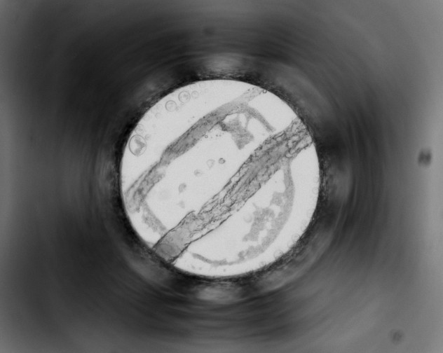 X0000103900459200810311413