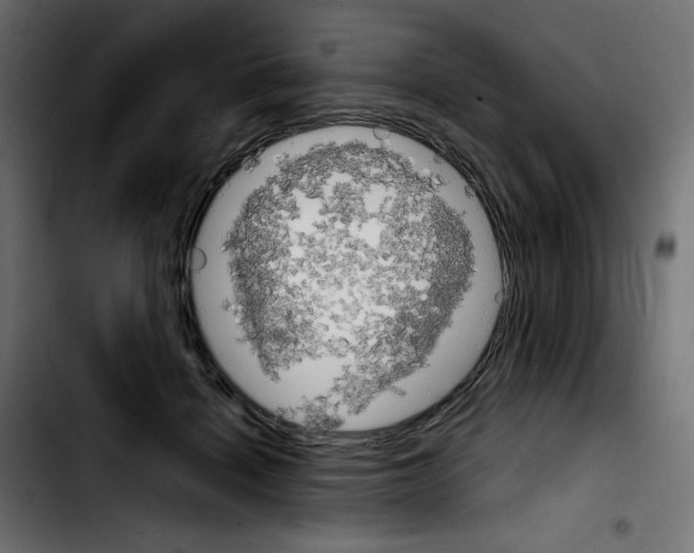 X0000103900460200810311413