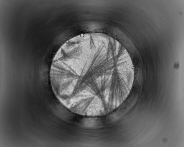 X0000103900461200810311414