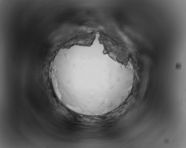 X0000103900463200810311414