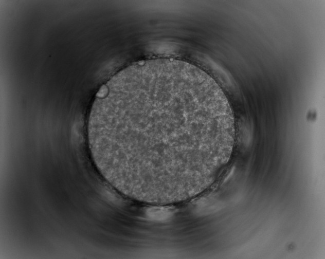 X0000103900465200810311414