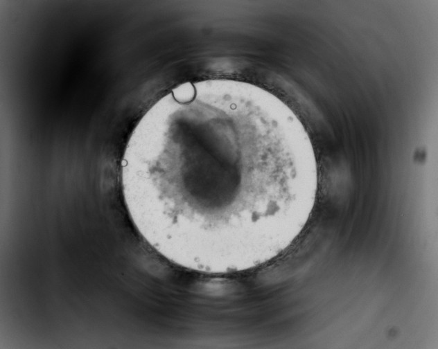 X0000103900467200810311414