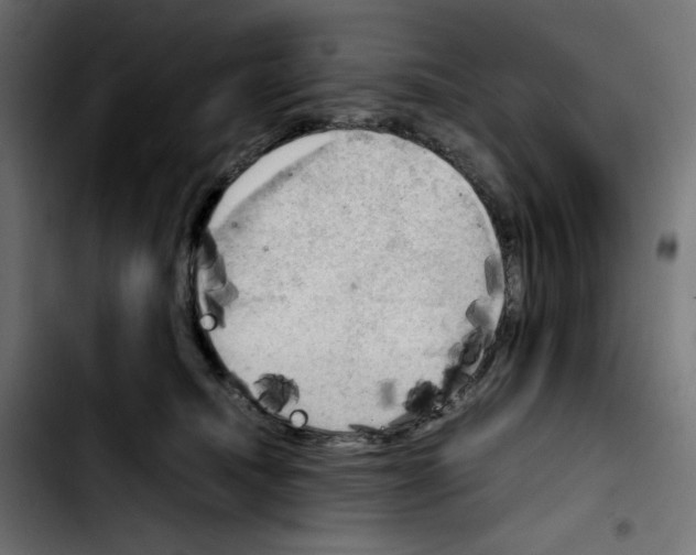 X0000103900468200810311414