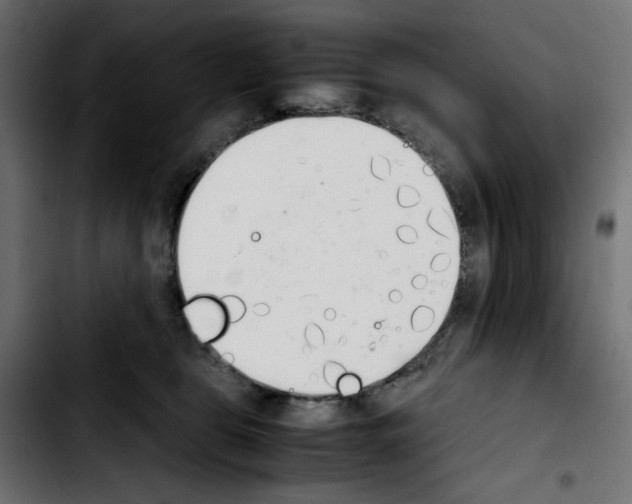 X0000103900469200810311414