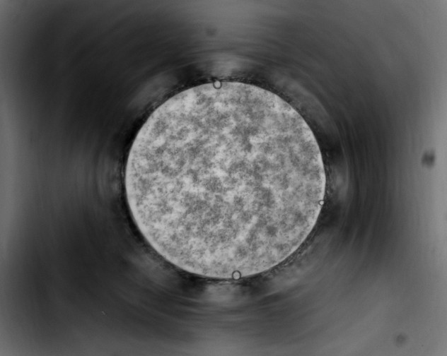 X0000103900470200810311414