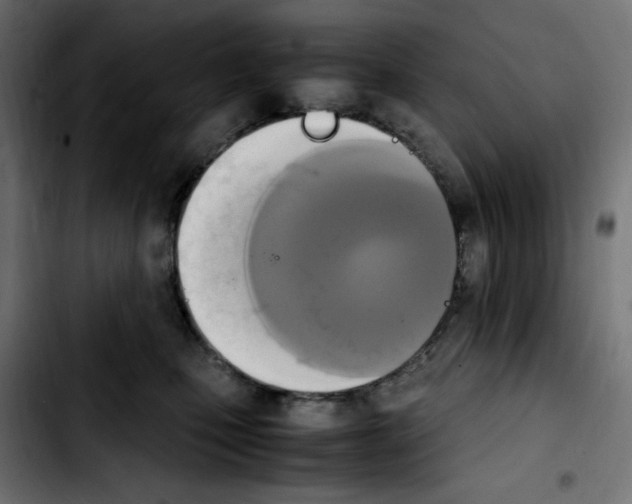 X0000103900471200810311414