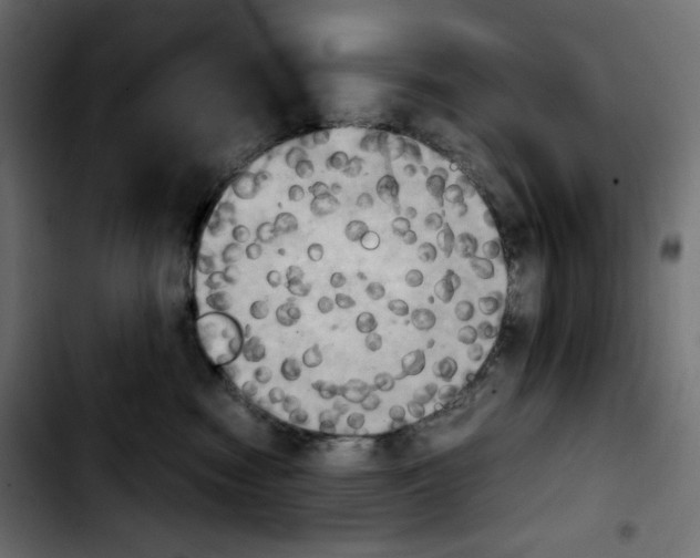 X0000103900474200810311414