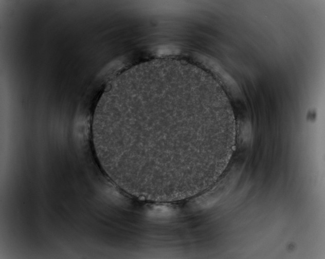 X0000103900475200810311414