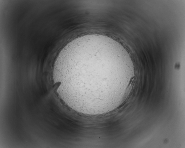 X0000103900476200810311414