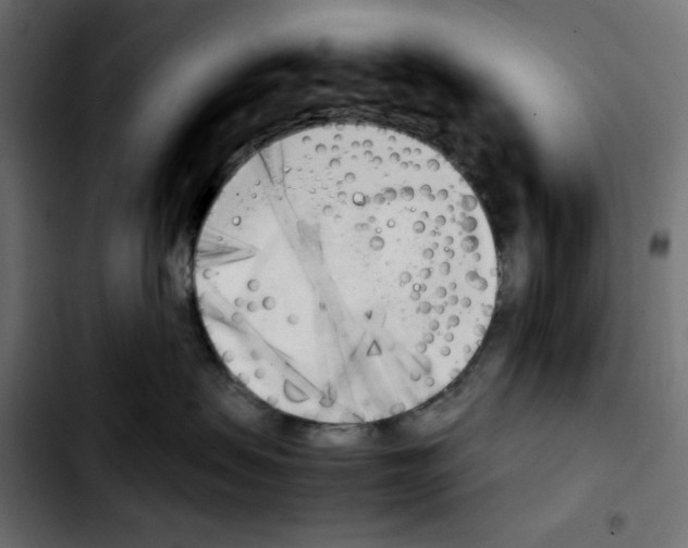 X0000103900479200810311414