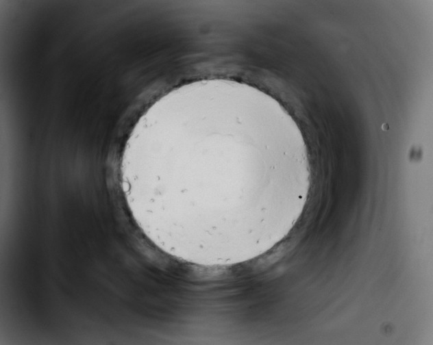 X0000103900480200810311414