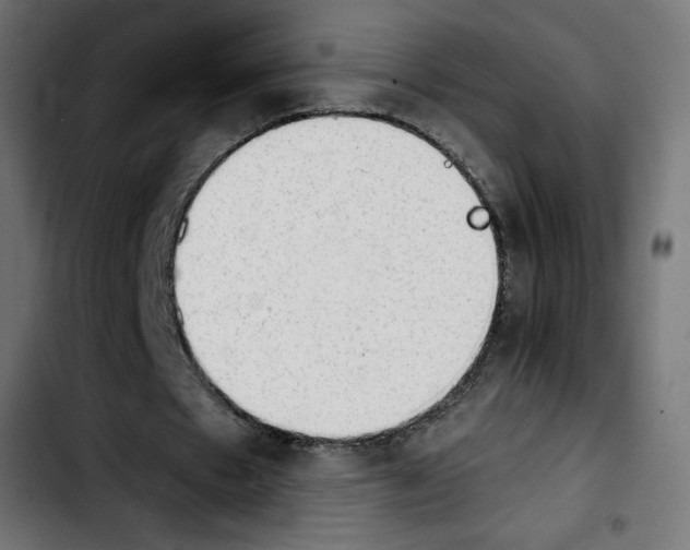 X0000103900481200810311413