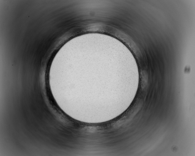 X0000103900482200810311413