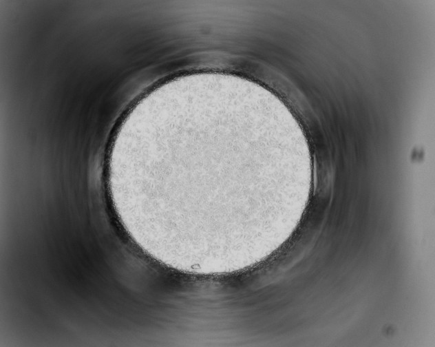 X0000103900483200810311413