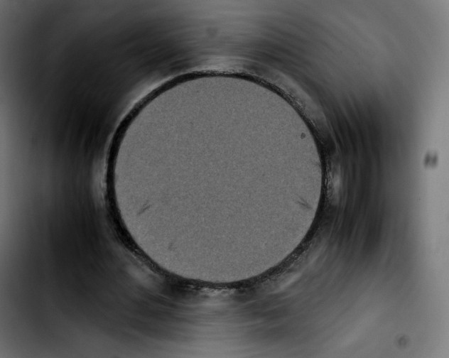 X0000103900484200810311413