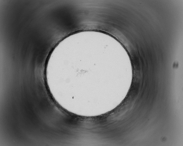 X0000103900485200810311413