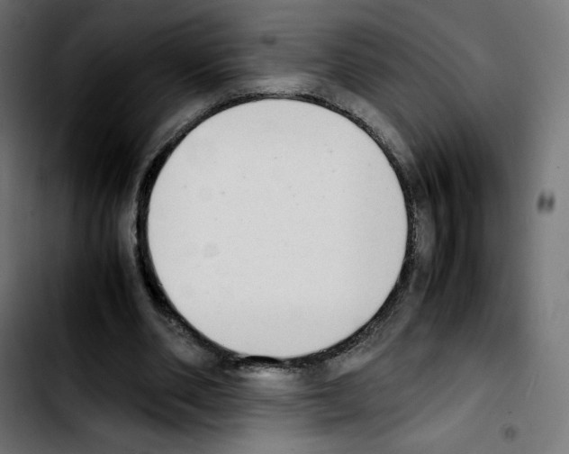 X0000103900486200810311413