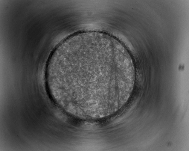 X0000103900487200810311413