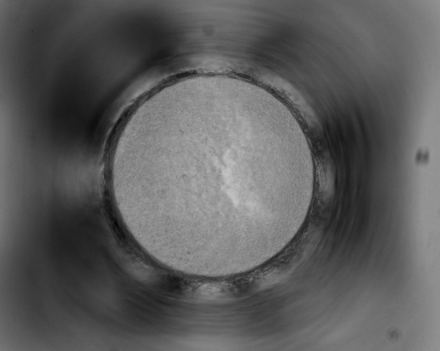 X0000103900488200810311413