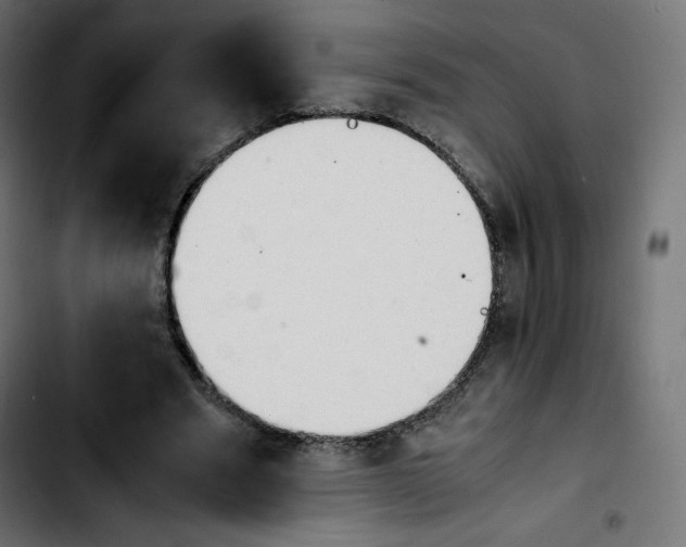 X0000103900489200810311413