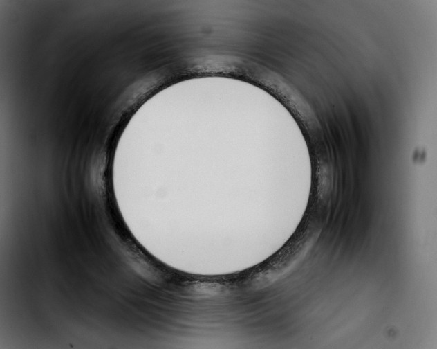 X0000103900490200810311413