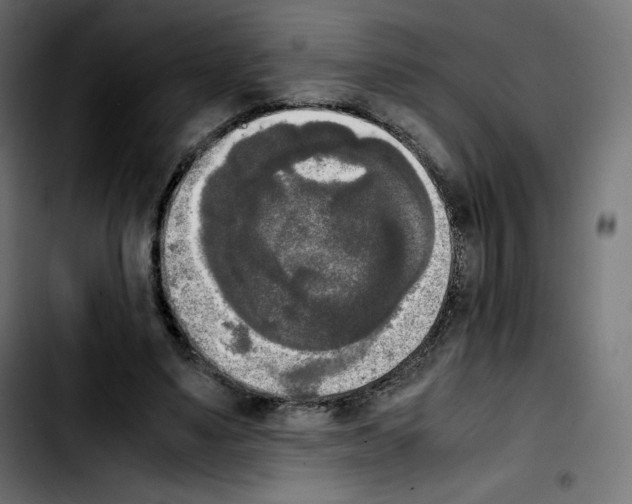 X0000103900491200810311413