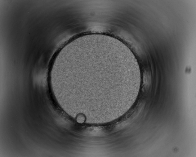 X0000103900492200810311413