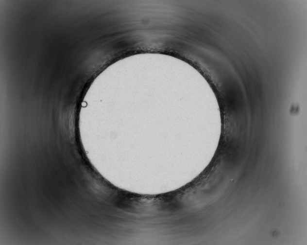 X0000103900493200810311413