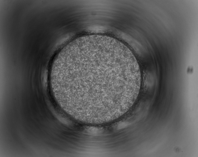 X0000103900494200810311413