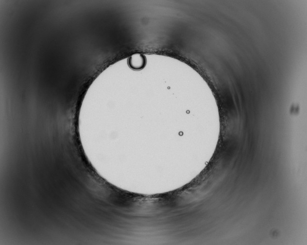 X0000103900497200810311413