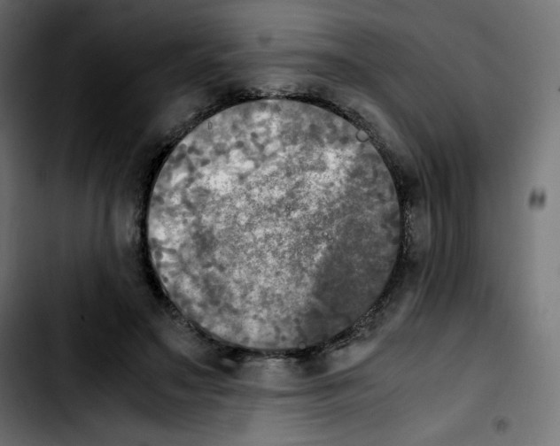 X0000103900499200810311413