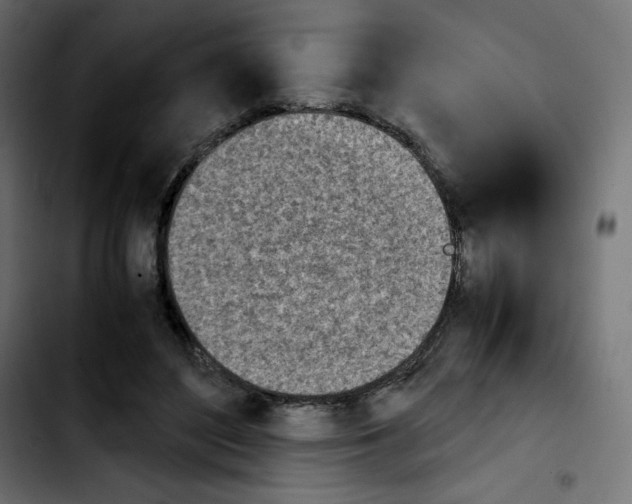 X0000103900500200810311413