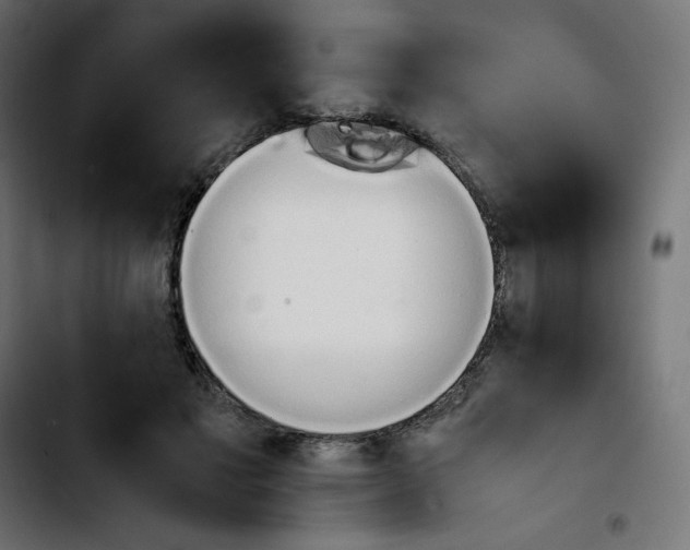 X0000103900501200810311413