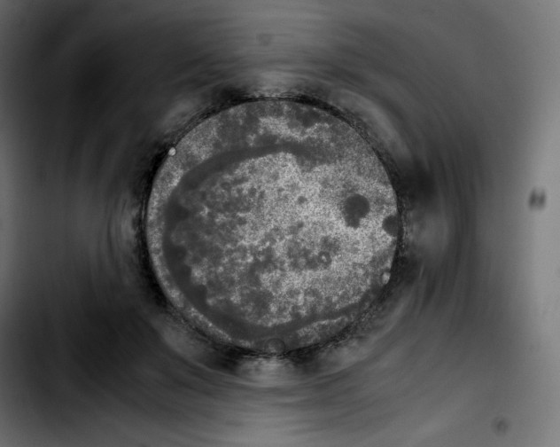 X0000103900503200810311413